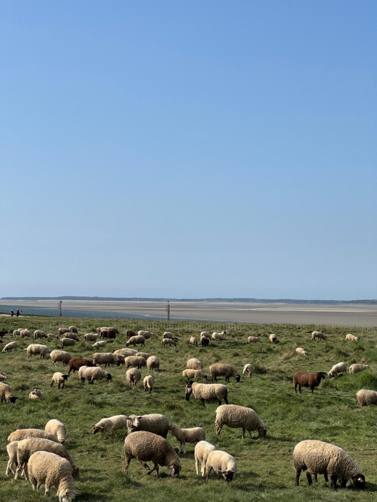 Gite Du Flot - Baie De Somme Boismont  Exterior photo